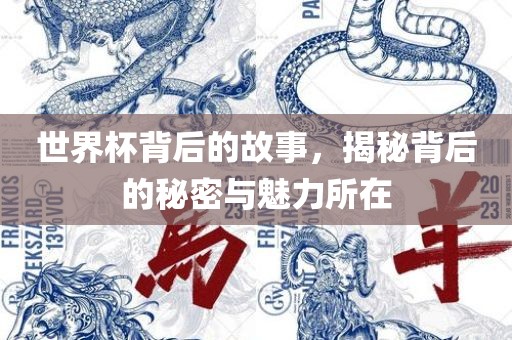 世界杯背后的故事，揭秘背后的秘密与魅力所在