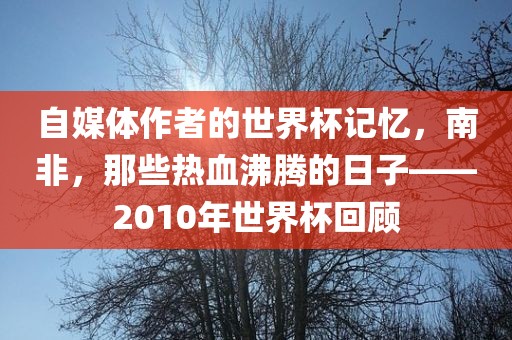 自媒体作者的世界杯记忆，南非，那些热血沸腾的日子——2010年世界杯回顾