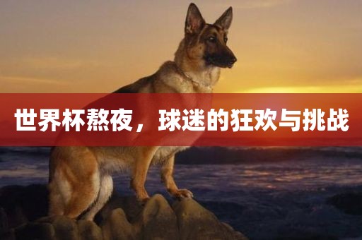 世界杯熬夜，球迷的狂欢与挑战