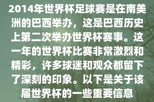 2014年世界杯足球赛是在南美洲的巴西举办，这是巴西历史上第二次举办世界杯赛事。这一年的世界杯比赛非常激烈和精彩，许多球迷和观众都留下了深刻的印象。以下是关于该届世界杯的一些重要信息