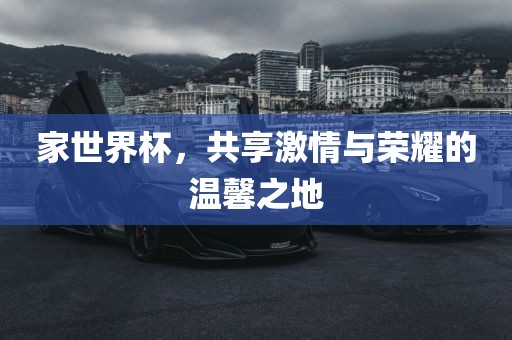 家世界杯，共享激情与荣耀的温馨之地