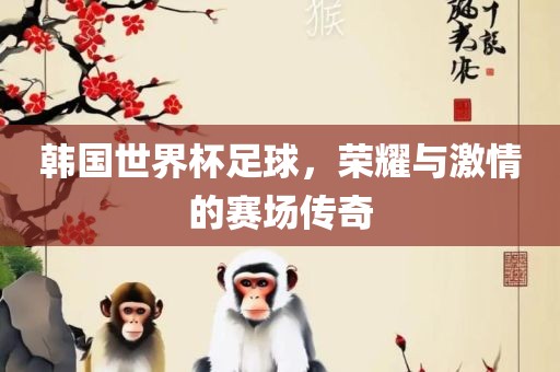 韩国世界杯足球，荣耀与激情的赛场传奇