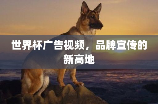 世界杯广告视频，品牌宣传的新高地