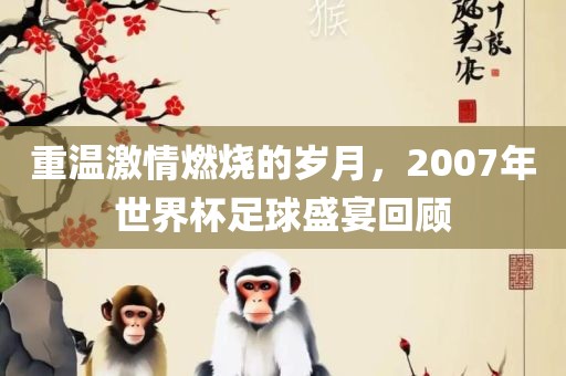 重温激情燃烧的岁月，2007年世界杯足球盛宴回顾