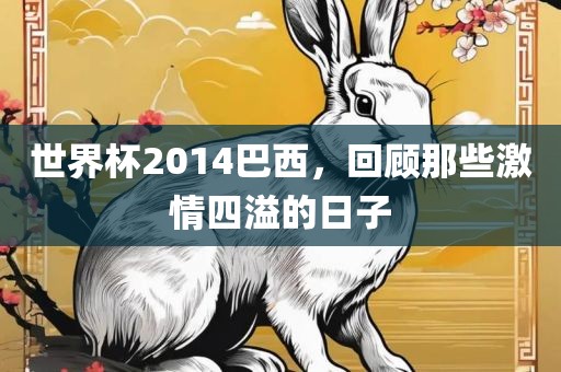 世界杯2014巴西，回顾那些激情四溢的日子