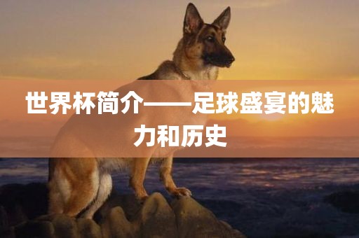 世界杯简介——足球盛宴的魅力和历史