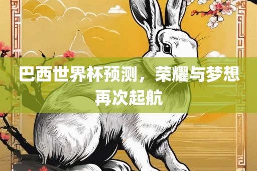巴西世界杯预测，荣耀与梦想再次起航