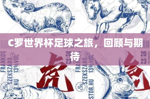 C罗世界杯足球之旅，回顾与期待