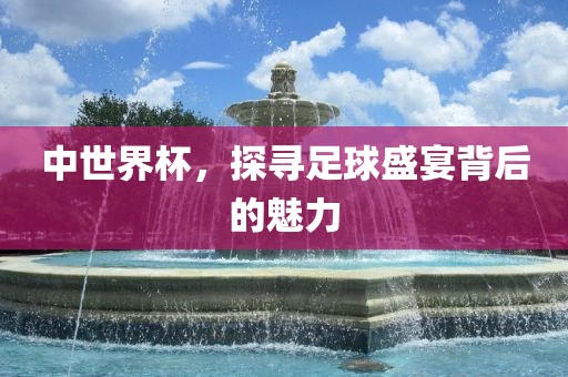 中世界杯，探寻足球盛宴背后的魅力