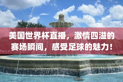 美国世界杯直播，激情四溢的赛场瞬间，感受足球的魅力！