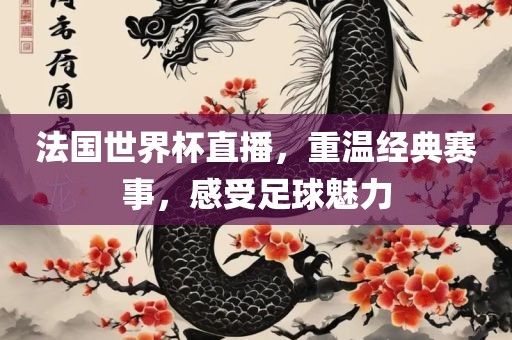 法国世界杯直播，重温经典赛事，感受足球魅力
