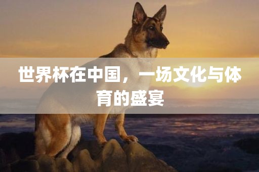 世界杯在中国，一场文化与体育的盛宴