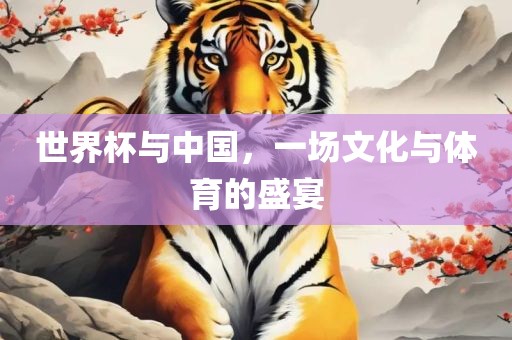 世界杯与中国，一场文化与体育的盛宴