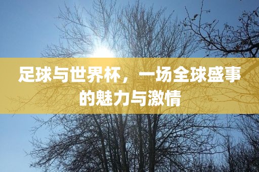 足球与世界杯，一场全球盛事的魅力与激情