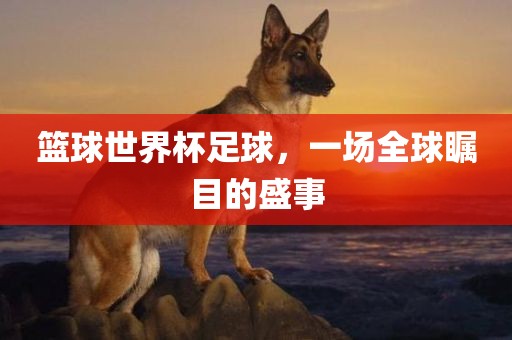 篮球世界杯足球，一场全球瞩目的盛事