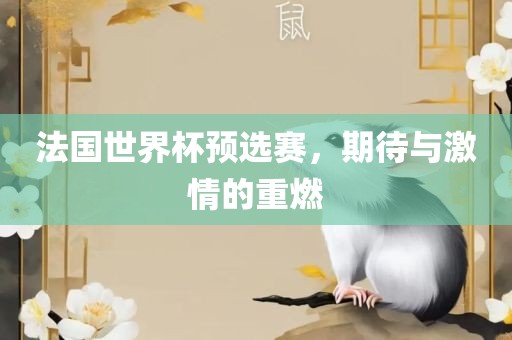 法国世界杯预选赛，期待与激情的重燃