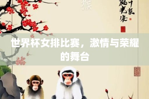 世界杯女排比赛，激情与荣耀的舞台