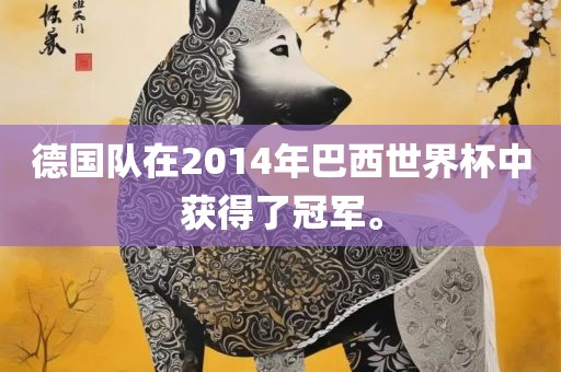 德国队在2014年巴西世界杯中获得了冠军。