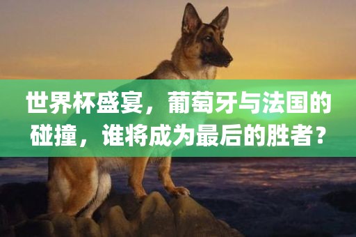 世界杯盛宴，葡萄牙与法国的碰撞，谁将成为最后的胜者？