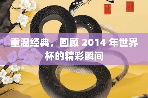 重温经典，回顾 2014 年世界杯的精彩瞬间