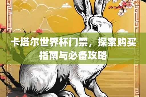 卡塔尔世界杯门票，探索购买指南与必备攻略