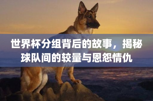 世界杯分组背后的故事，揭秘球队间的较量与恩怨情仇