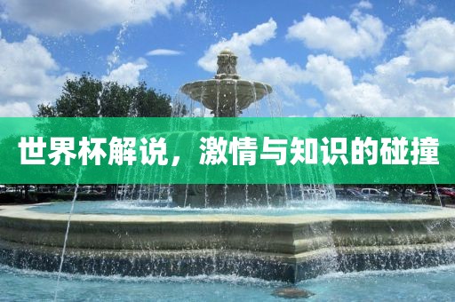 世界杯解说，激情与知识的碰撞