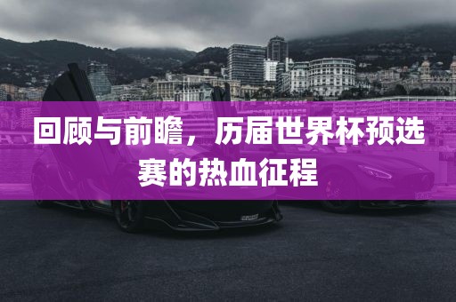 回顾与前瞻，历届世界杯预选赛的热血征程