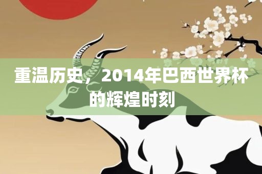 重温历史，2014年巴西世界杯的辉煌时刻