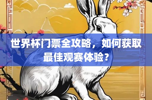 世界杯门票全攻略，如何获取最佳观赛体验？