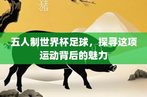 五人制世界杯足球，探寻这项运动背后的魅力