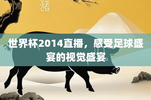 世界杯2014直播，感受足球盛宴的视觉盛宴