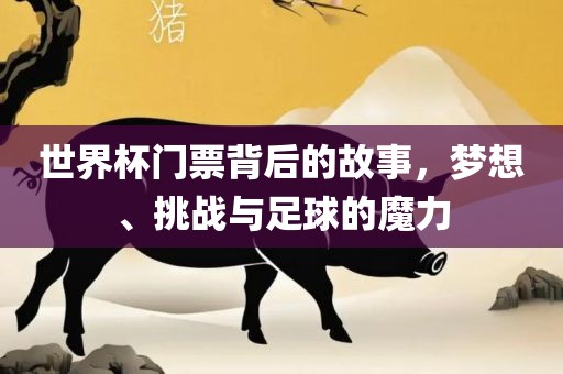 世界杯门票背后的故事，梦想、挑战与足球的魔力