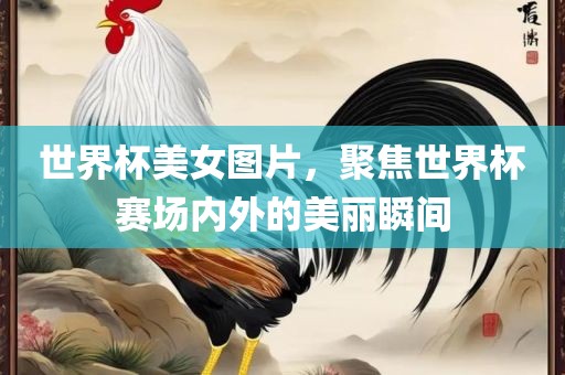 世界杯美女图片，聚焦世界杯赛场内外的美丽瞬间