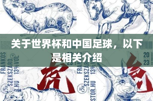 关于世界杯和中国足球，以下是相关介绍