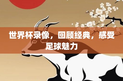 世界杯录像，回顾经典，感受足球魅力