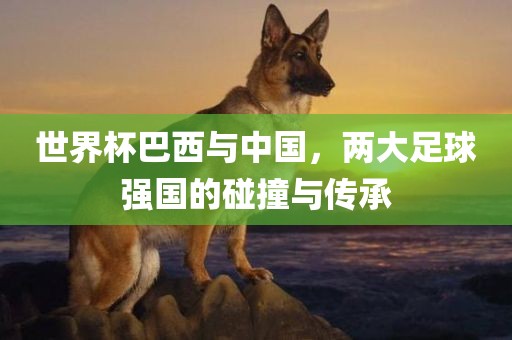 世界杯巴西与中国，两大足球强国的碰撞与传承