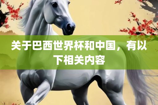 关于巴西世界杯和中国，有以下相关内容
