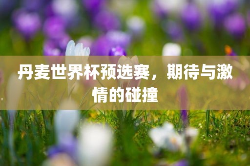 丹麦世界杯预选赛，期待与激情的碰撞