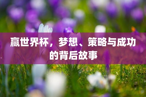 赢世界杯，梦想、策略与成功的背后故事