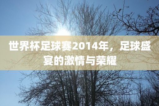 世界杯足球赛2014年，足球盛宴的激情与荣耀