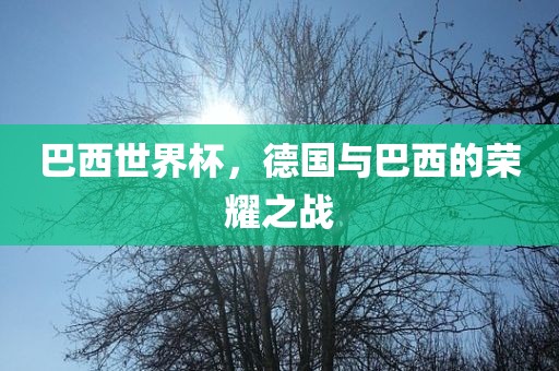 巴西世界杯，德国与巴西的荣耀之战