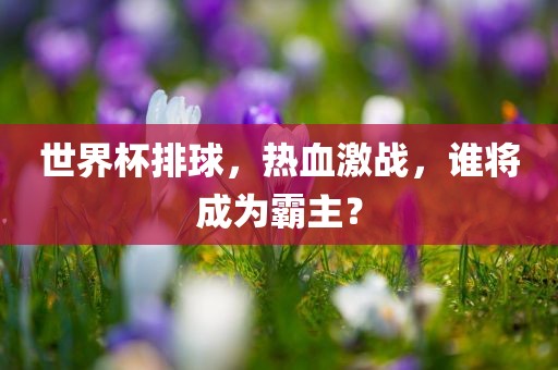 世界杯排球，热血激战，谁将成为霸主？