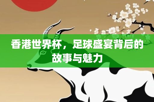 香港世界杯，足球盛宴背后的故事与魅力