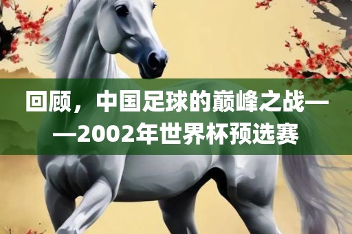 回顾，中国足球的巅峰之战——2002年世界杯预选赛