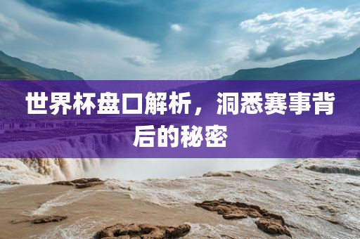世界杯盘口解析，洞悉赛事背后的秘密