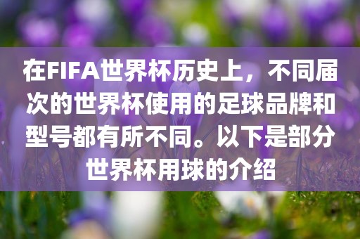 在FIFA世界杯历史上，不同届次的世界杯使用的足球品牌和型号都有所不同。以下是部分世界杯用球的介绍