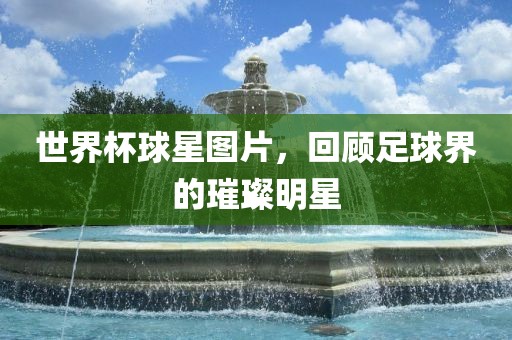 世界杯球星图片，回顾足球界的璀璨明星