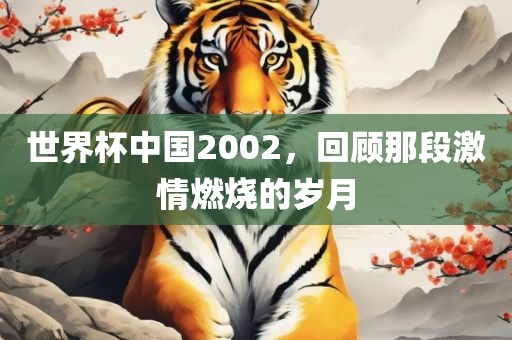 世界杯中国2002，回顾那段激情燃烧的岁月