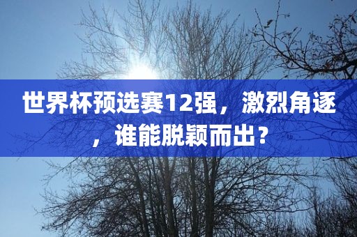 世界杯预选赛12强，激烈角逐，谁能脱颖而出？